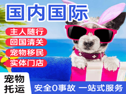 桂林两江航空运输国际宠物托运 【国
